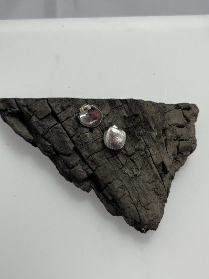 Shell stud earrings